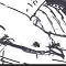 Chapitre 2 - L'accident